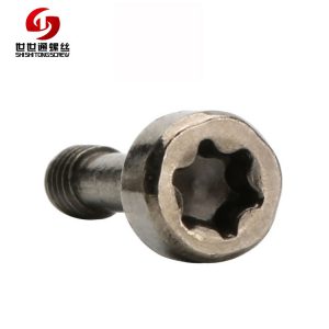 Torx Head Cap Screw