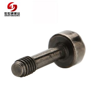 Torx Head Cap Screw