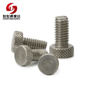 ss screws