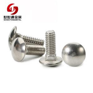 stainless steel screws carriage bolt