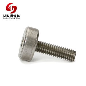 stainless steel torx sccrew