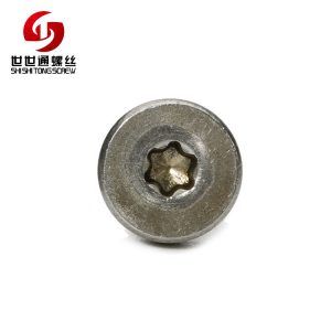 torx stainless steel screw