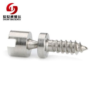 Stainless Steel Special Screw Supplier