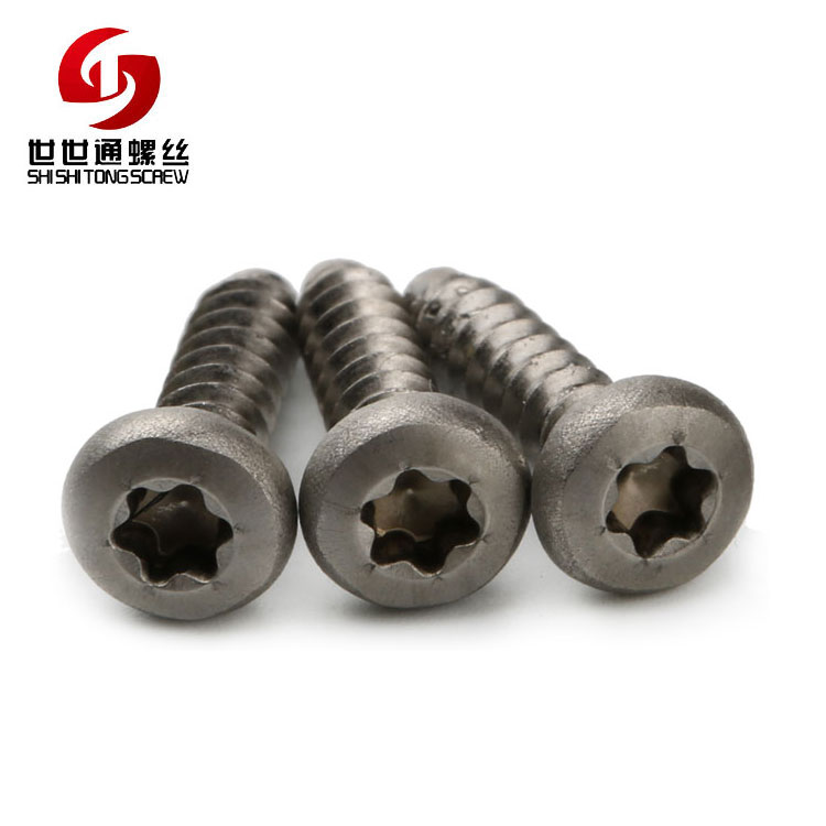 torx screw