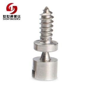 anti-theft tapping screw