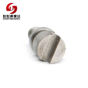slotted screw