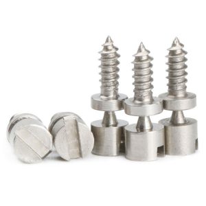 Special stainless screw