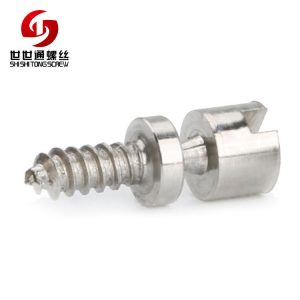 stainless steel special screw