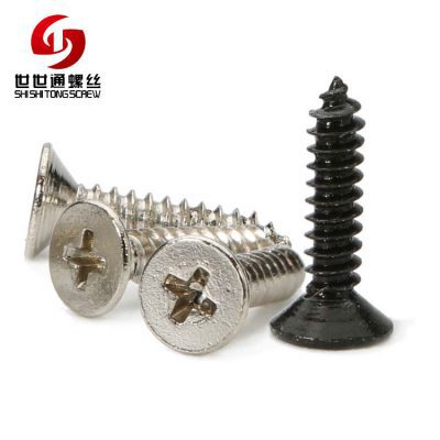 phillips screw