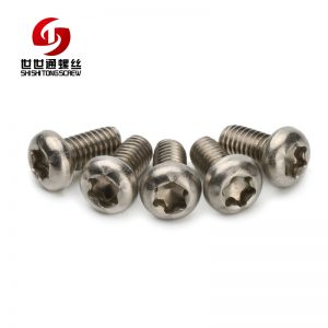 round head stainless steel screw