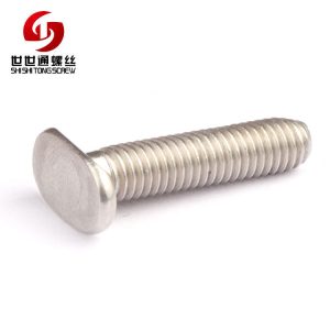 T HEAD SCREW, SS Machine Screws