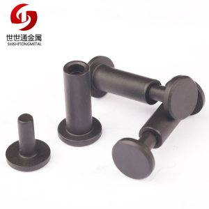 male and female screw, screw binding, screw book binding, 