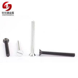 slotted screw