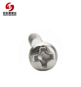 phillips stainless screws