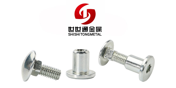 M3 M4 M5 2mm Female Male Stainless Steel Slotted Flat Head Leash Rivets  Binding Chicago Screw for Wood and Book - China Chicago Screws, Fastener  Screw