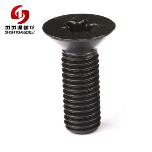 black torx screw