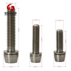 Titanium Socket Head Cap Screws