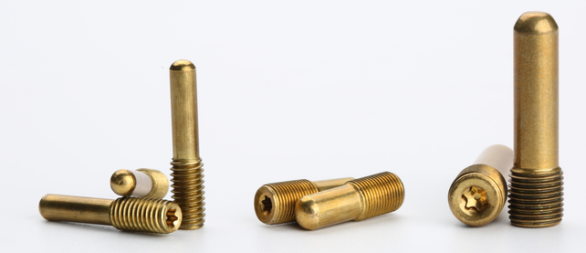 Long brass screw