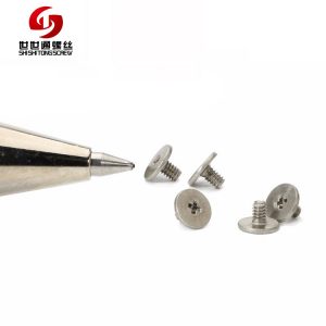 Stainless Steel Micro Screws,Small Watch Screws
