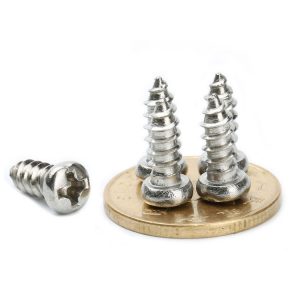 Stainless Steel Micro Screws