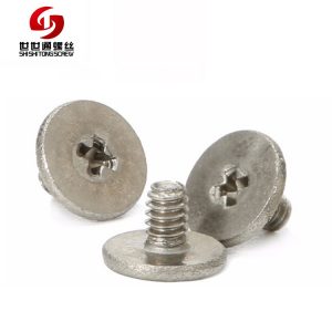 Stainless Steel Micro Screws