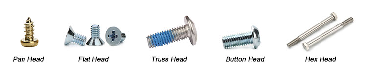 screw head