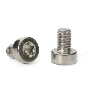 Stainless Steel Torx Screws