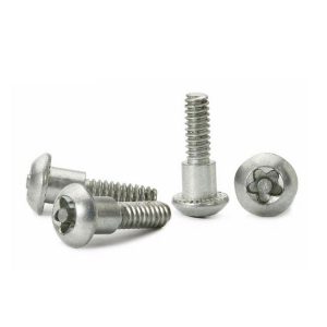 Stainless Steel Torx Screws