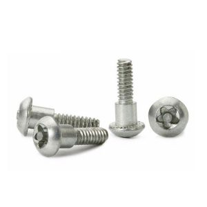torx pin in anti theft screws