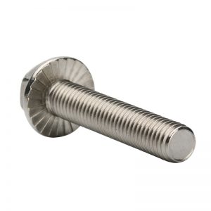 Screw And Bolt Suppliers, Screw China