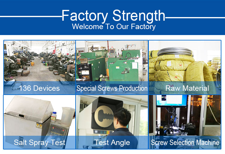 Pan Screw, SS Screw, Machine Screw Manufacturers