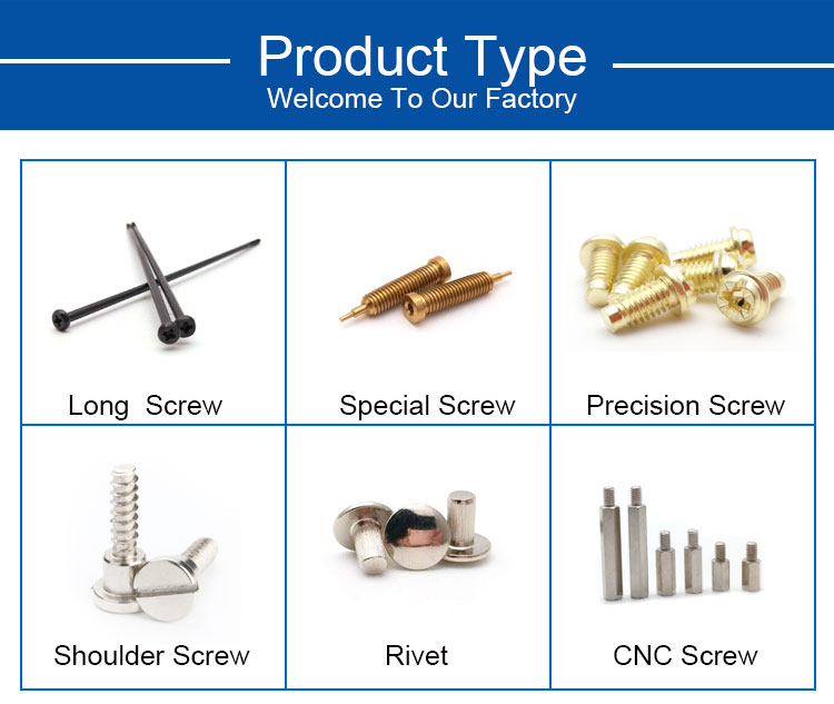 Cap Screw, Socket Head Screw