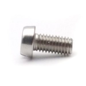 Cheese Head Screw, Slotted Screw