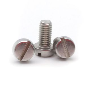 Cheese Head Screw, Slotted Screw