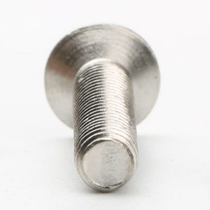 316 Stainless Steel Screws, Oval Head Screw