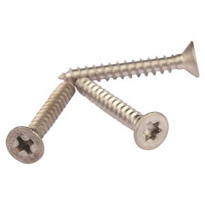 Stainless Steel Self Tapping Screws, Self Tapping Screw Manufacturer