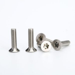 torx countersunk screws