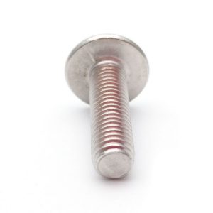 Modified Truss Screws, Phillips Screw