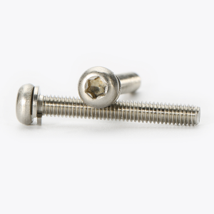 round head torx screw
