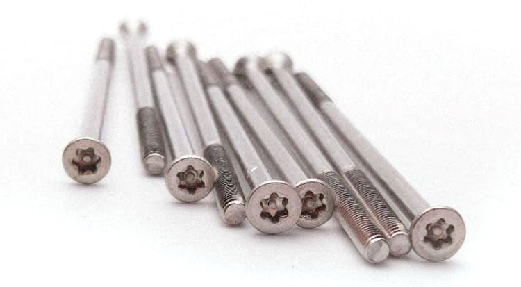 long stainless steel screws