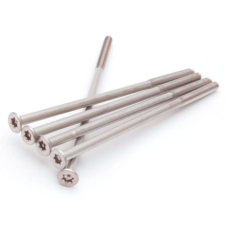 long stainless steel screws