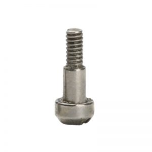 Slotted Fillister Head Screw Supplier | Shi Shi Tong