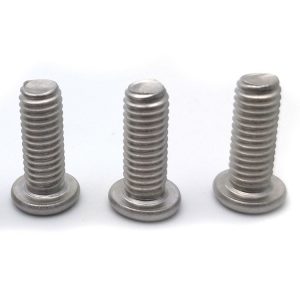 triangle security screws