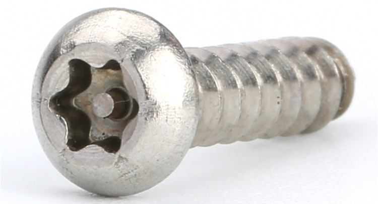 pin torx security screws