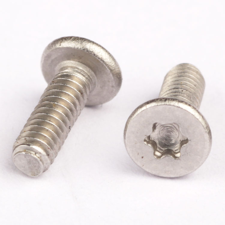 stainless steel torx screws