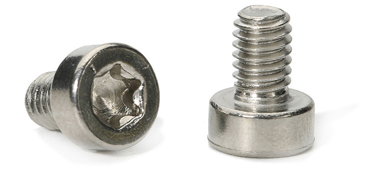 tiny torx screws