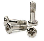phillips stainless pan screws