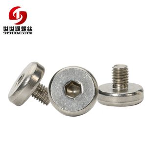 stainless steel non standard screws