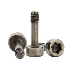 torx head cap screw