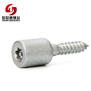 security torx screw